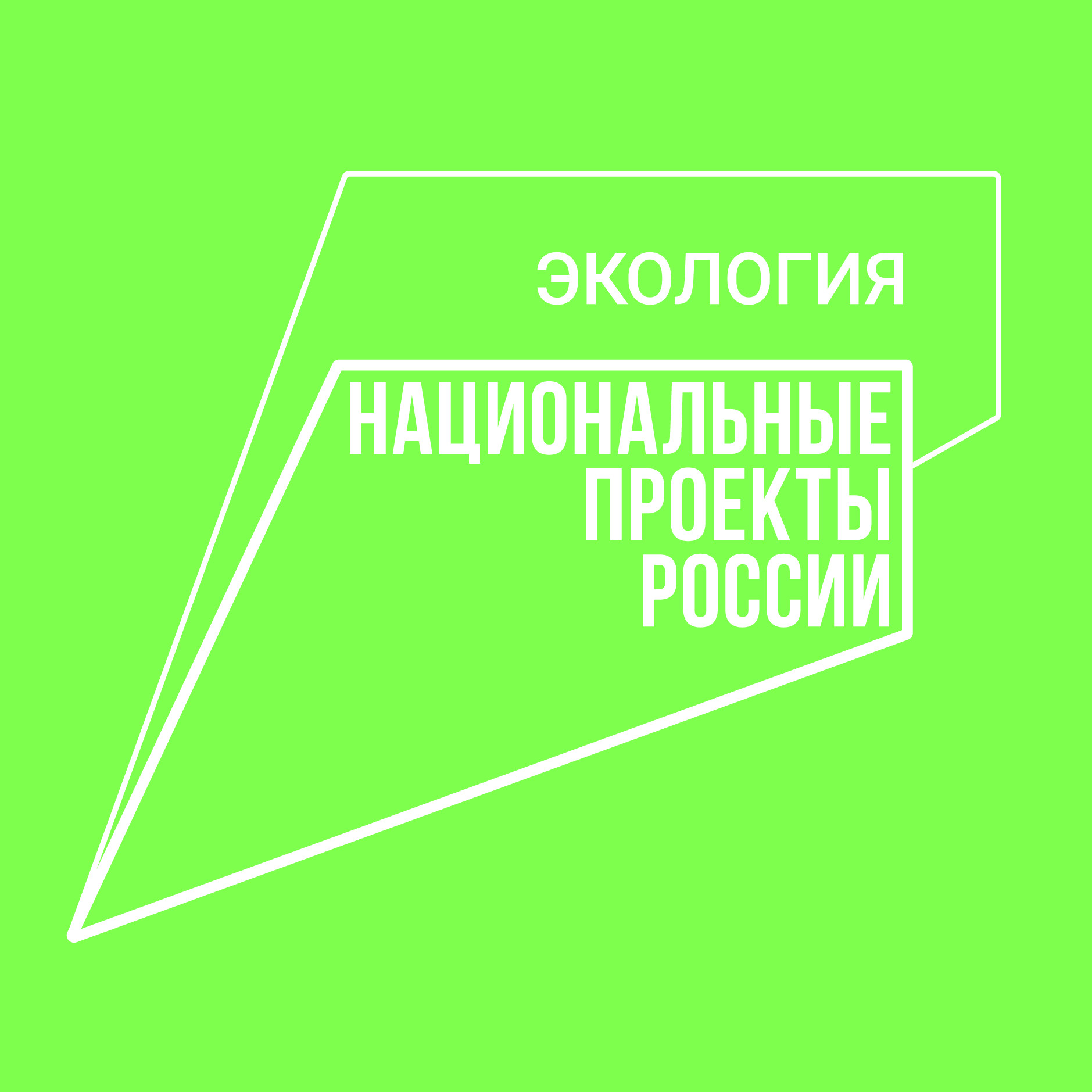 Даглесхоз в истекшем году успешно завершил все мероприятия в рамках Федерального проекта "Сохраним лес"