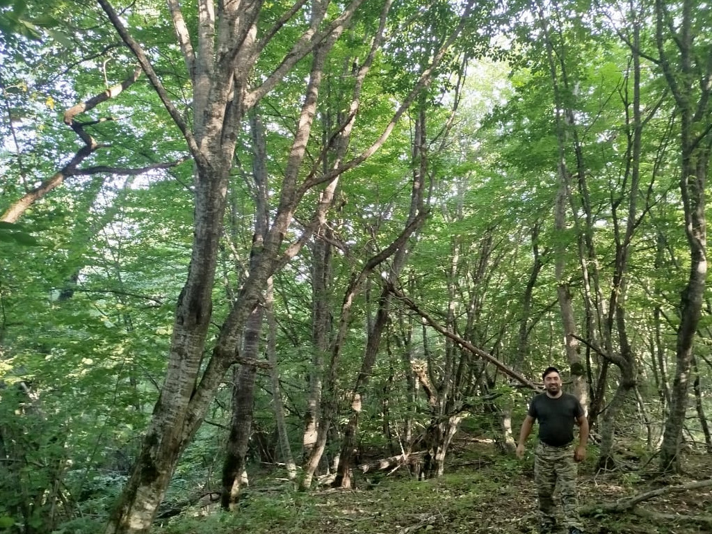 В Хивском районе лесники проводят патрулирование лесного фонда.