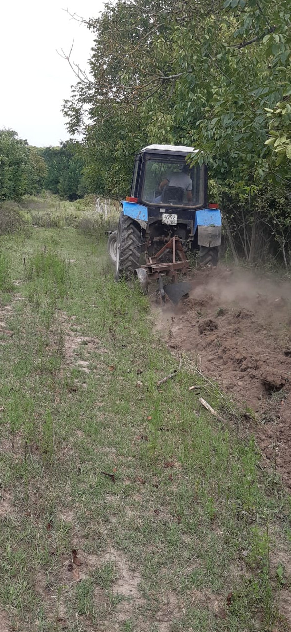 Даглесхоз провёл минполосы