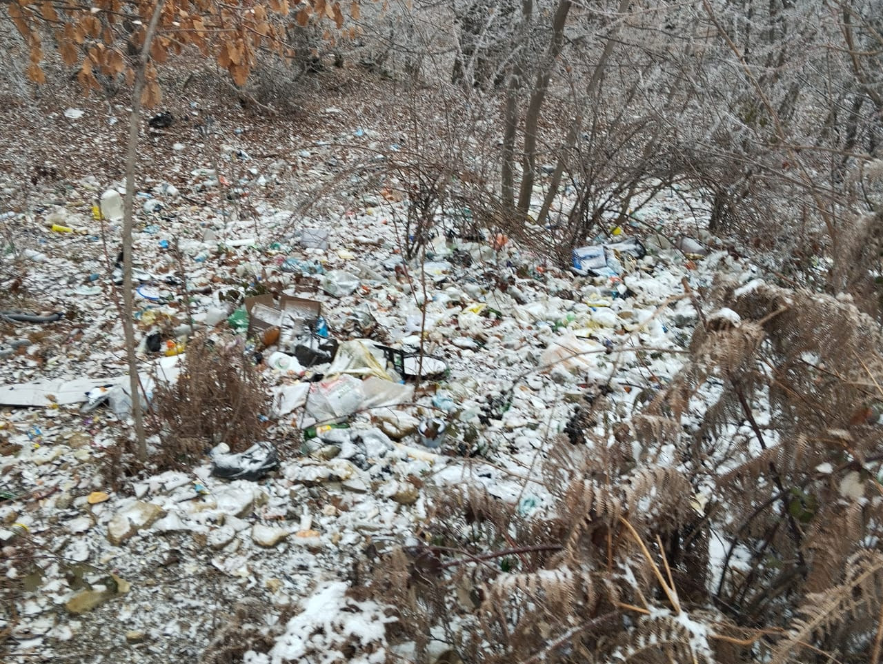патрулирования Кайтагское лесничество