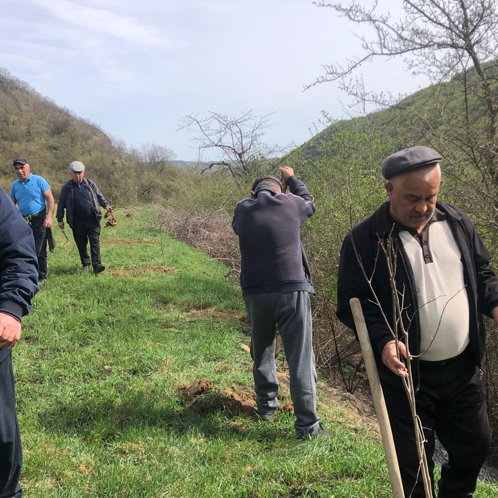 сад памяти Табасаран