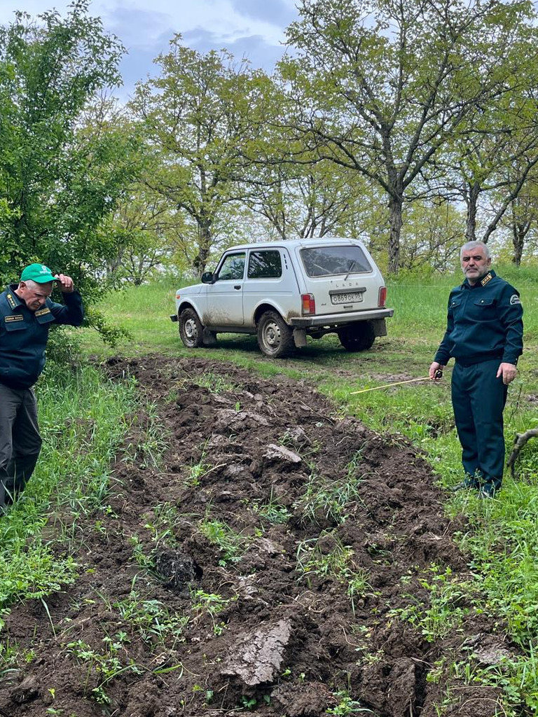 противопожарные мероприятия Сергокалинское лесничество