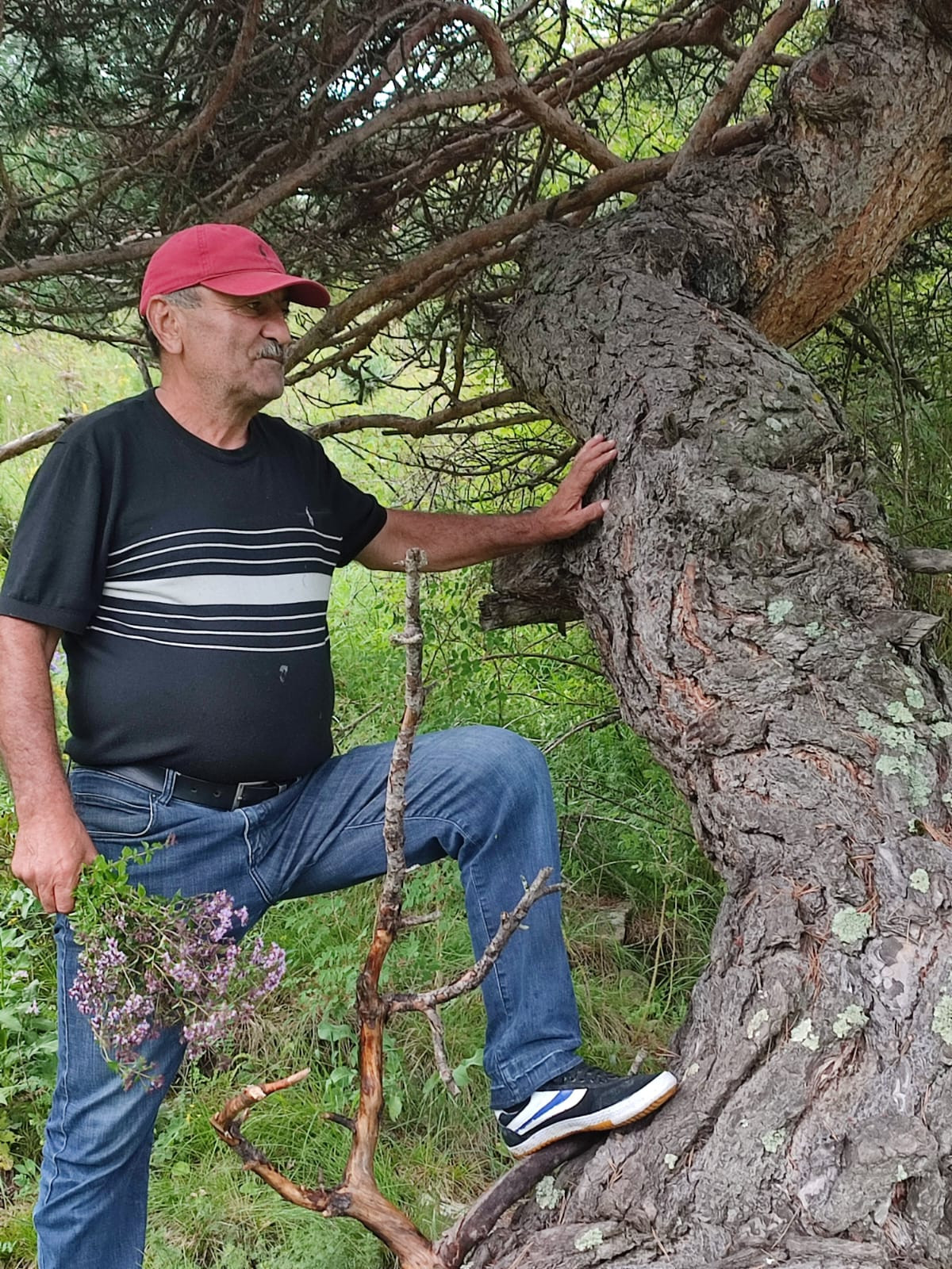 Обход лесных участков