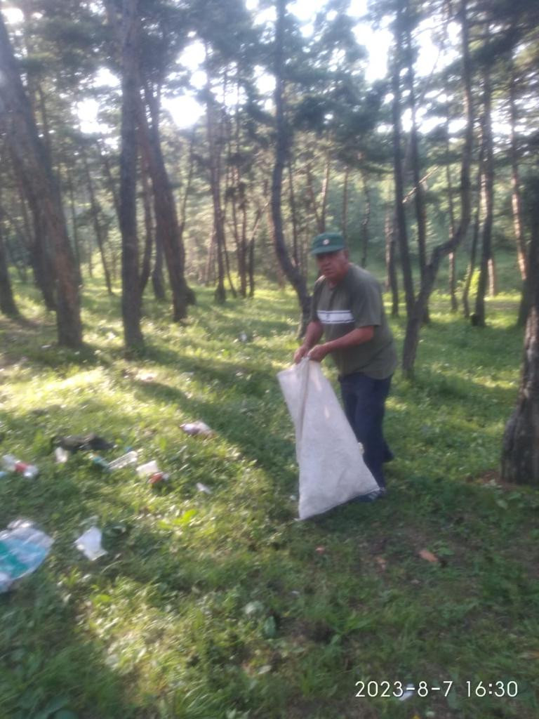 Обход лесных участков