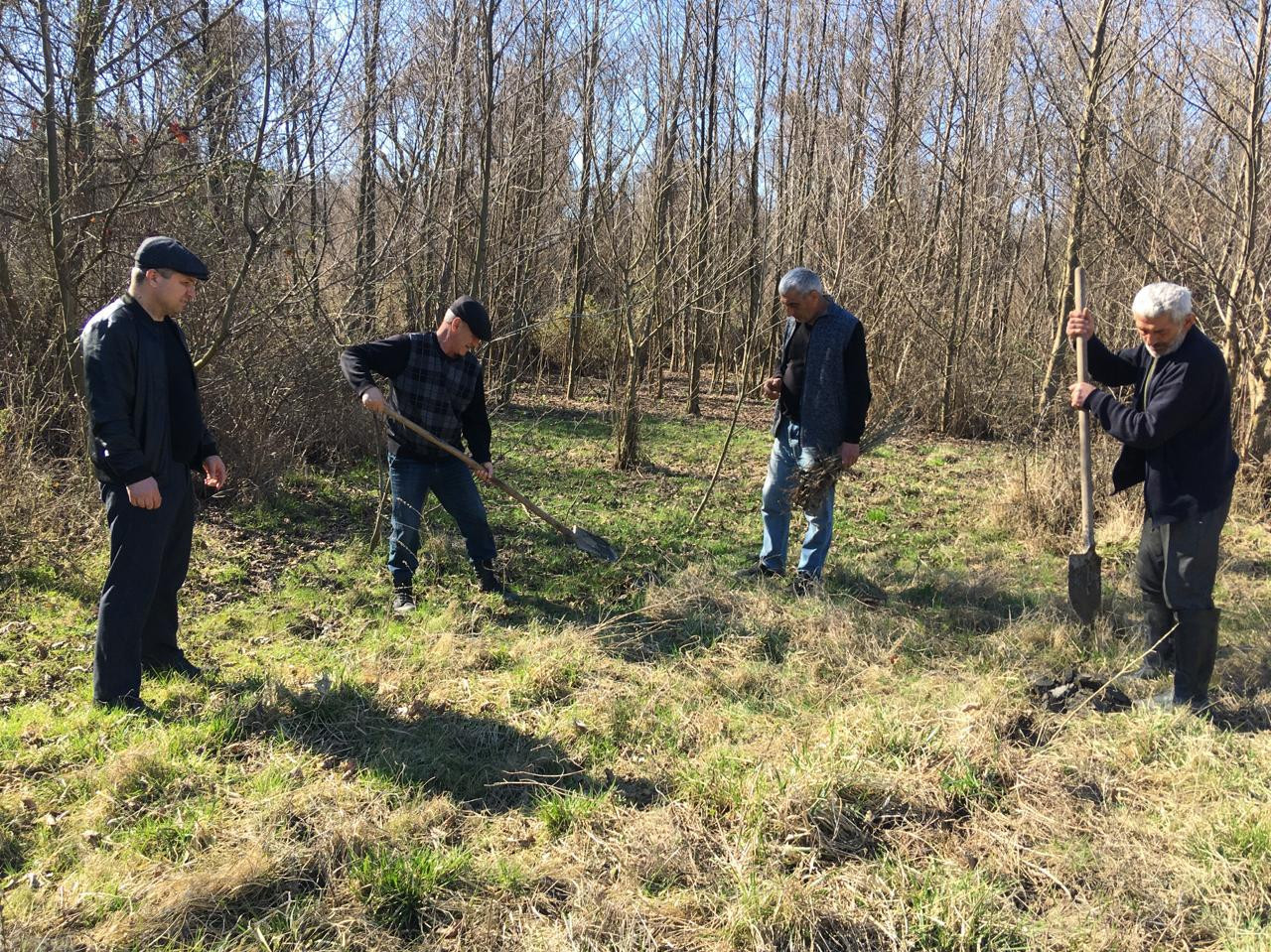 В рамках акции «Сад памяти», сотрудники ГКУ РД «Самурский лесопарк» посадили деревья