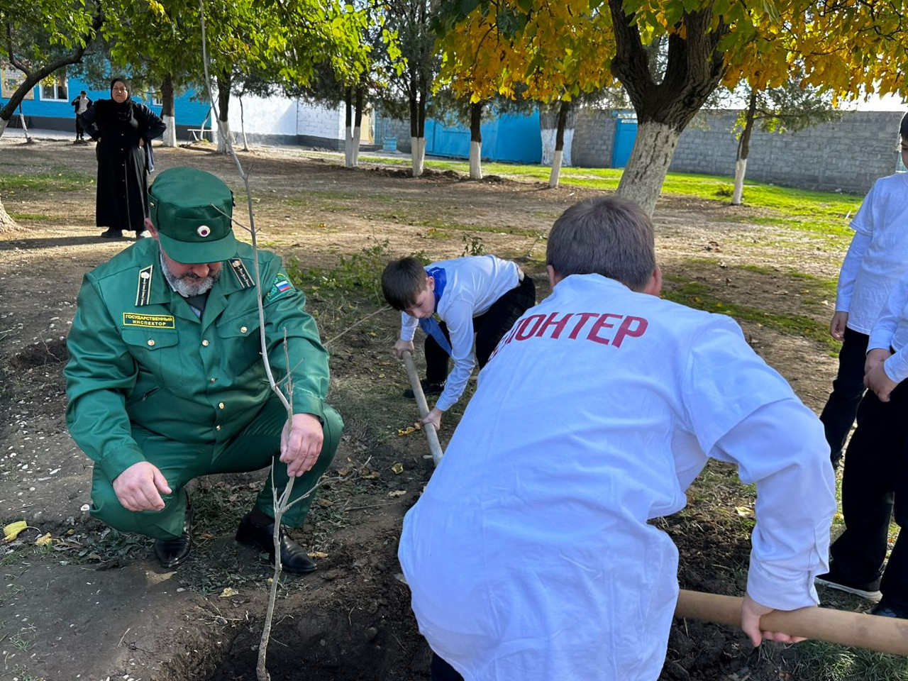 хасавюрт сохраним лес