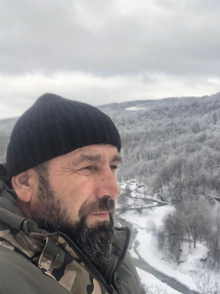 охрана хвойных деревьев