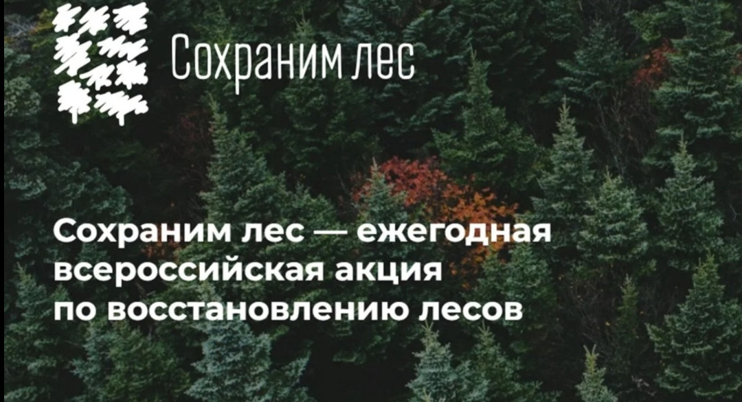 Всероссийская акция «Сохраним лес»