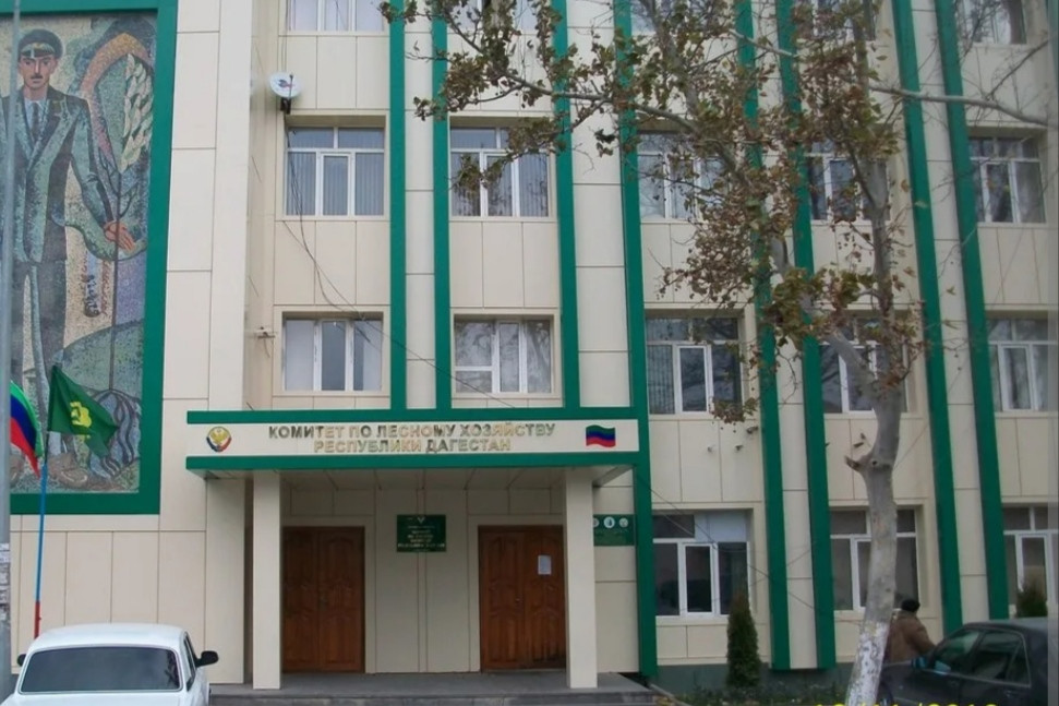 В Даглесхозе идёт формирование общественного совета.