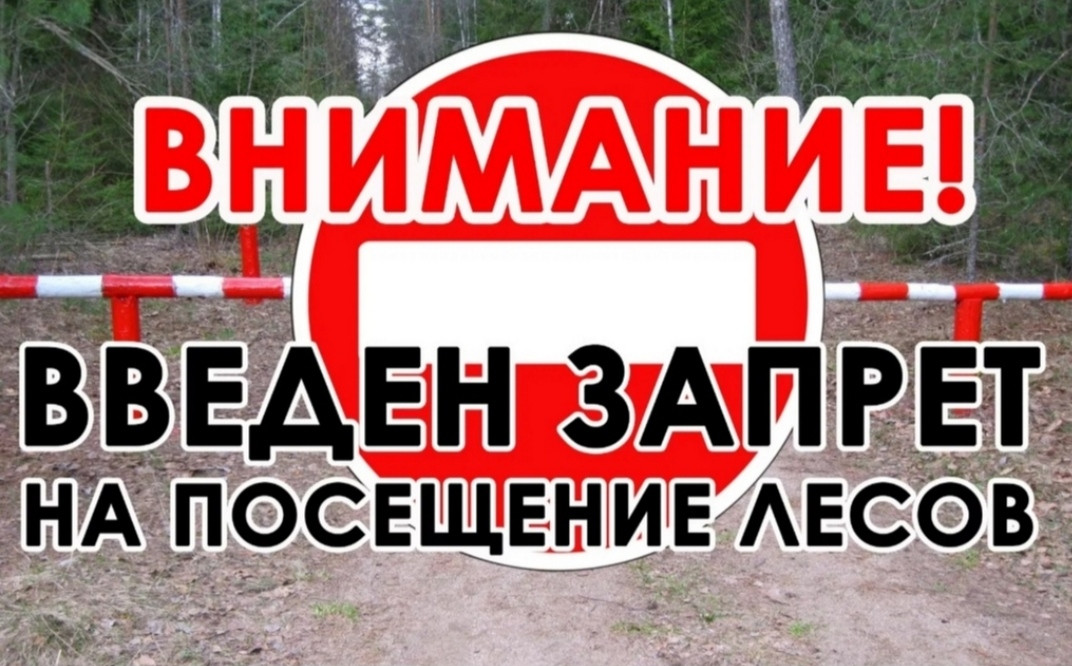 Ограничения пребывания граждан в лесах и въезда в них транспортных средств
