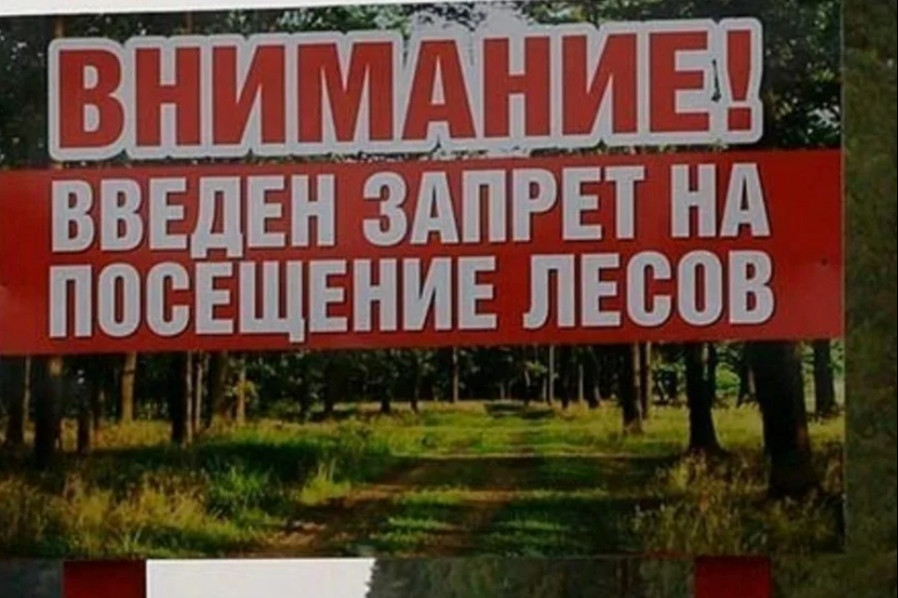 Об установлении особого противопожарного режима в лесах Республики Дагестан в 2024 году