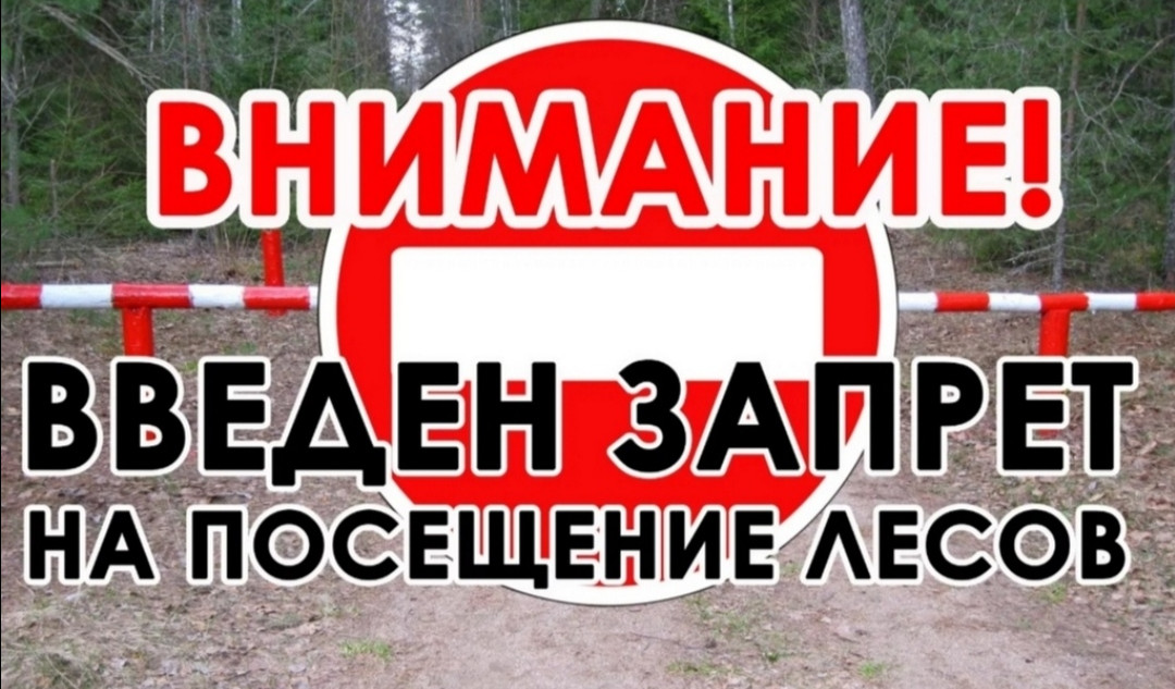 Даглесхоз издал распоряжение «Об ограничении пребывания граждан в лесах и въезда в них транспортных средств»