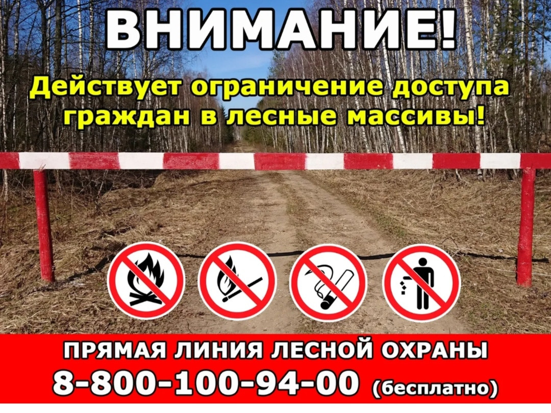 Даглесхоз издал распоряжение «Об ограничении пребывания граждан в лесах и въезда в них транспортных средств»