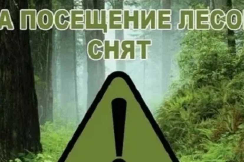 отмена ограничения посещения лесов
