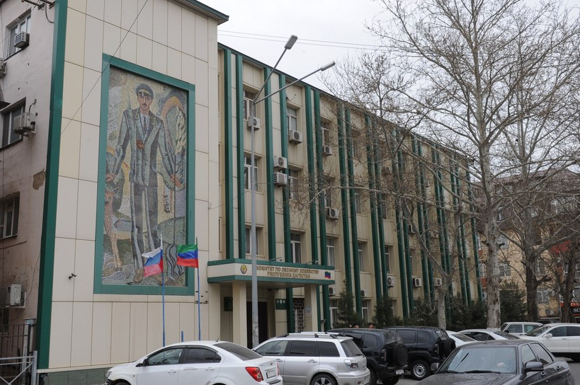 лесничества внесены в реестр