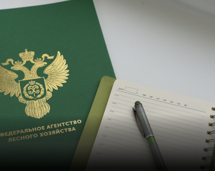 Рослесхоз: с 1 марта вступают в силу обновленные требования к подготовке проектов освоения лесов для недропользователей и на сельхозземлях