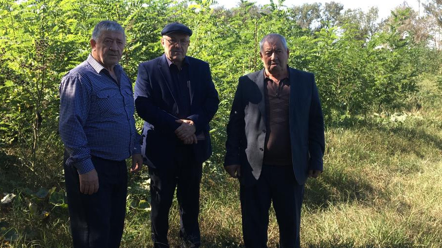В Кизлярском лесничестве проверили лесные посадки