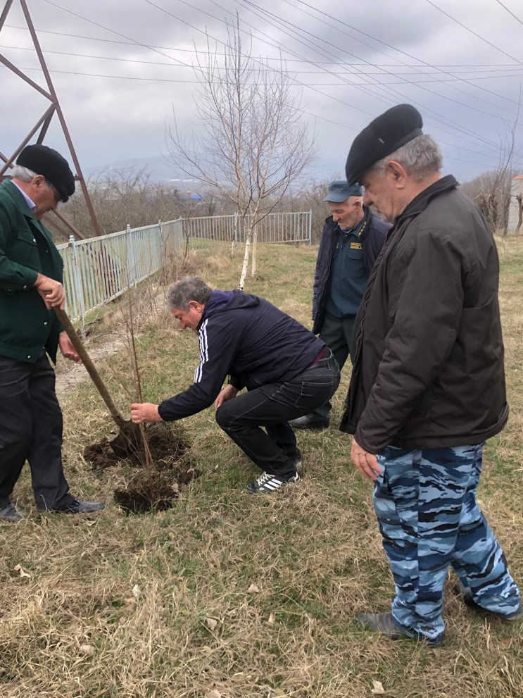 Накануне работники ГКУ РД "Казбековское лесничество" приняли участие в акции "Сад памяти"
