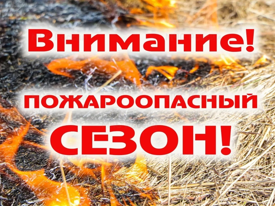 Даглесхоз объявил о начале пожароопасного сезона 2023 года в лесах Республики Дагестан