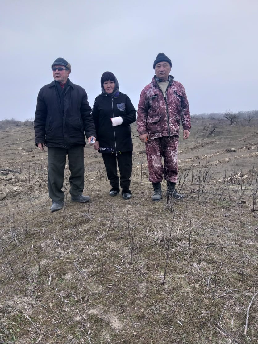 В Червленно Бурунском участковом лесничестве, ГКУ РД "Ногайское лесничество начали посадочные работы