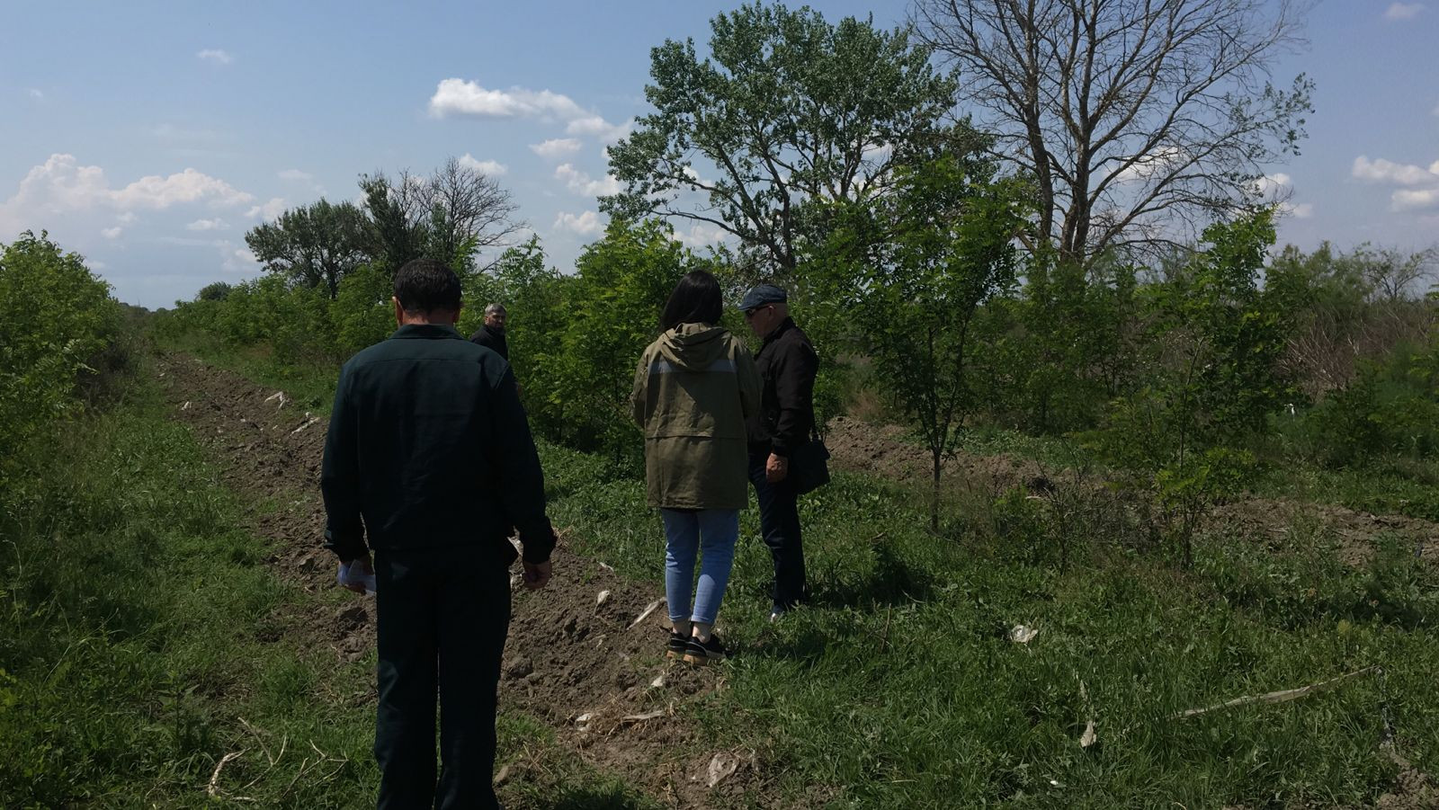 В Кизлярском лесничестве провели агротехнический уход за посадками