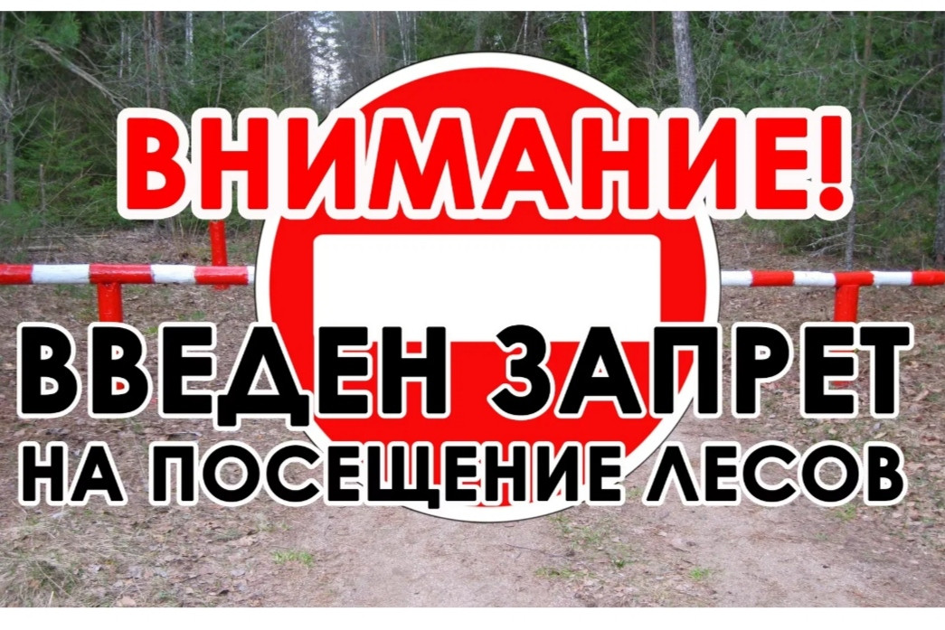 "Об ограничении пребывания граждан в лесах и въезда в них транспортных средств"