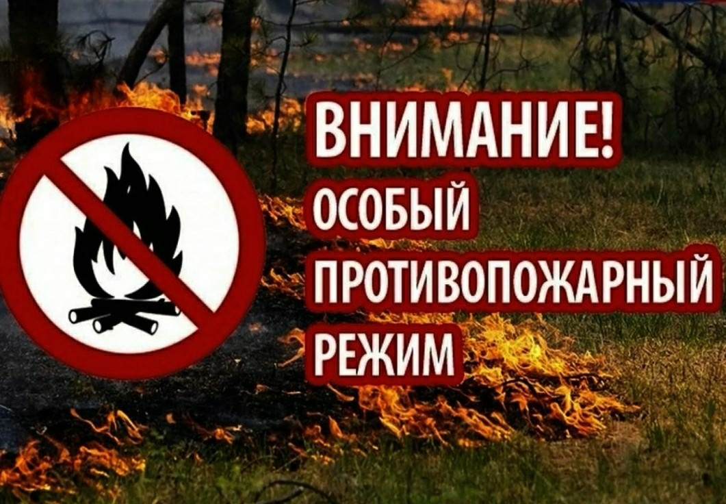 Особый противопожарный режим вводится с 1 мая в Дагестане
