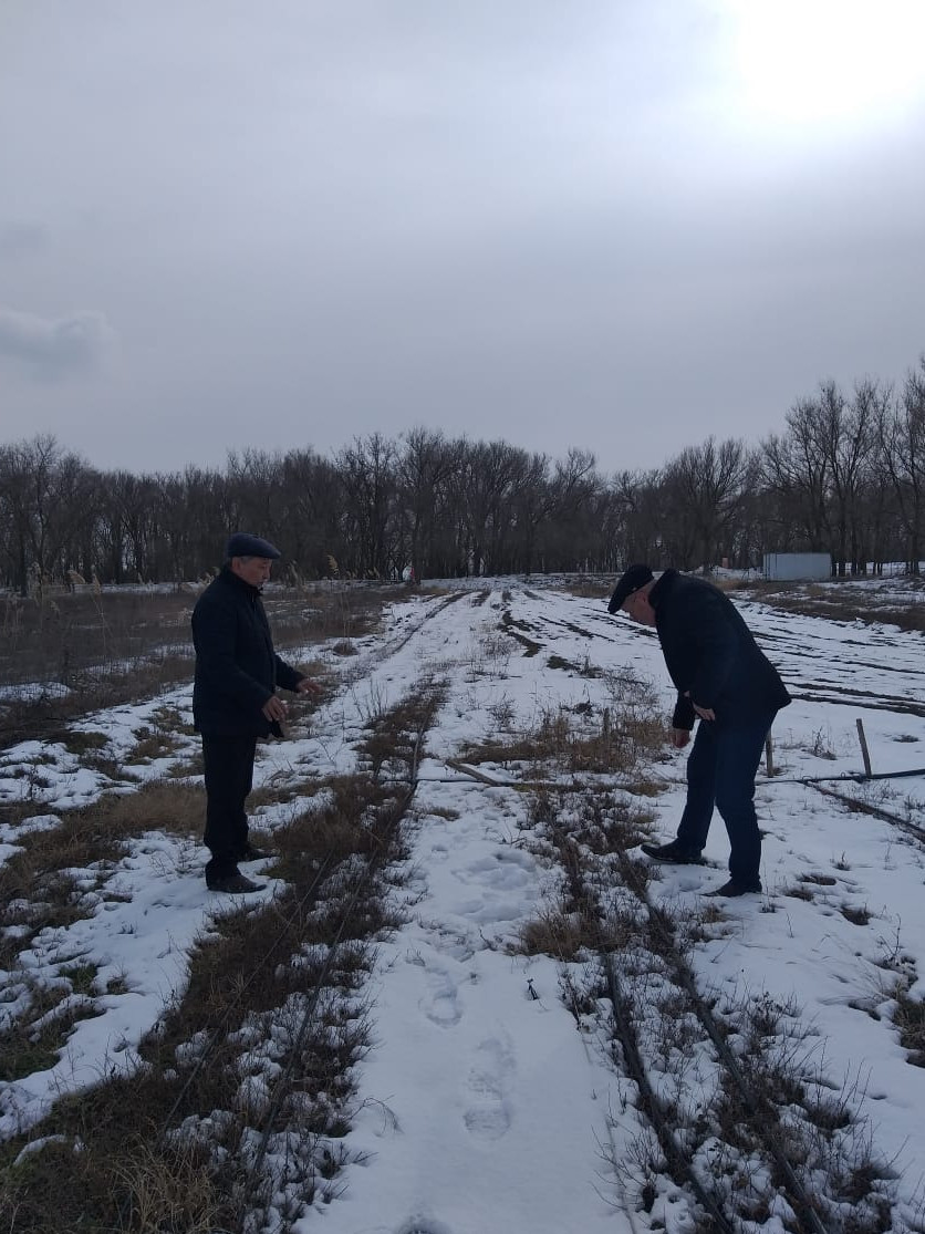 Заместитель председателя Комитета по лесному хозяйству РД Улакай Улакаев   посетил питомник в ходе инспектирования ГКУ РД "Ногайское лесничество"