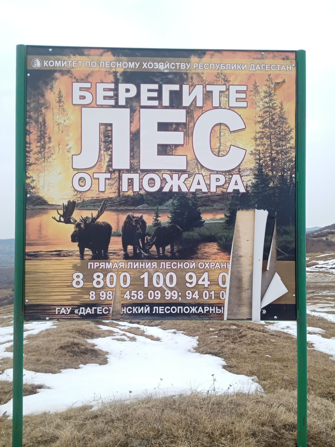 С наступлением пожароопасного сезона гослесинспектора ГКУ РД "Хивское лесничество" усилили патрулирование в  лесном массиве с целью противопожарной профилактики