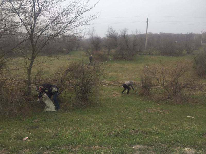 В Кизлярском районе провели субботник по очистке лесных массивов.