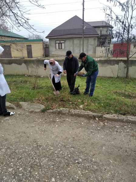 В лесничествах продолжают посадку саженцев в честь участников войны.