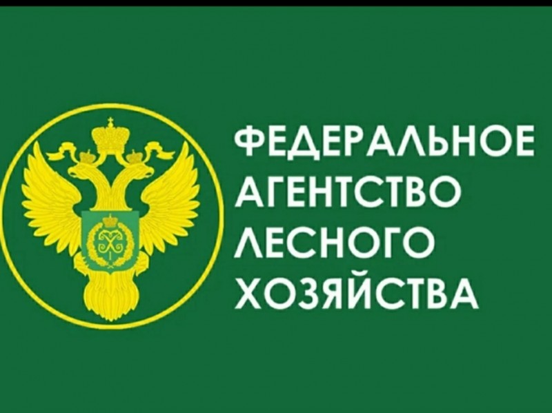 Реальная лесопожарная обстановка.