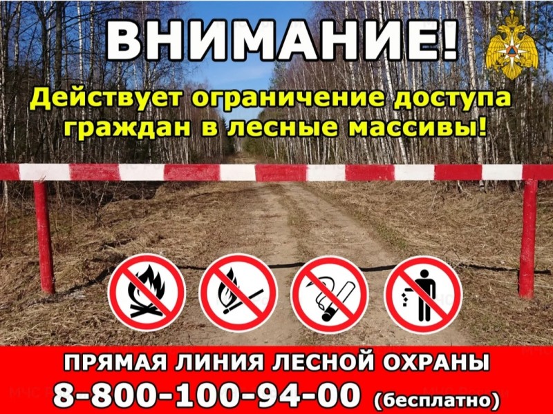 Распоряжение Даглесхоза о введении режима ограничения пребывания граждан и въезда транспортных средств в лес.