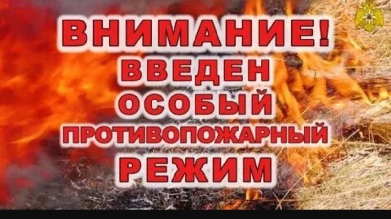 Постановлением Правительства РД от 28 апреля 2022года в лесах Дагестана с 1 мая до 1 ноября 2022 года вводится особый противопожарный режим.