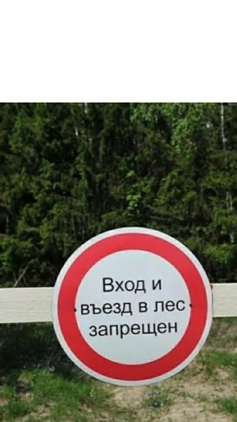 В Дагестане введен режим ограничения пребывания в лесах.