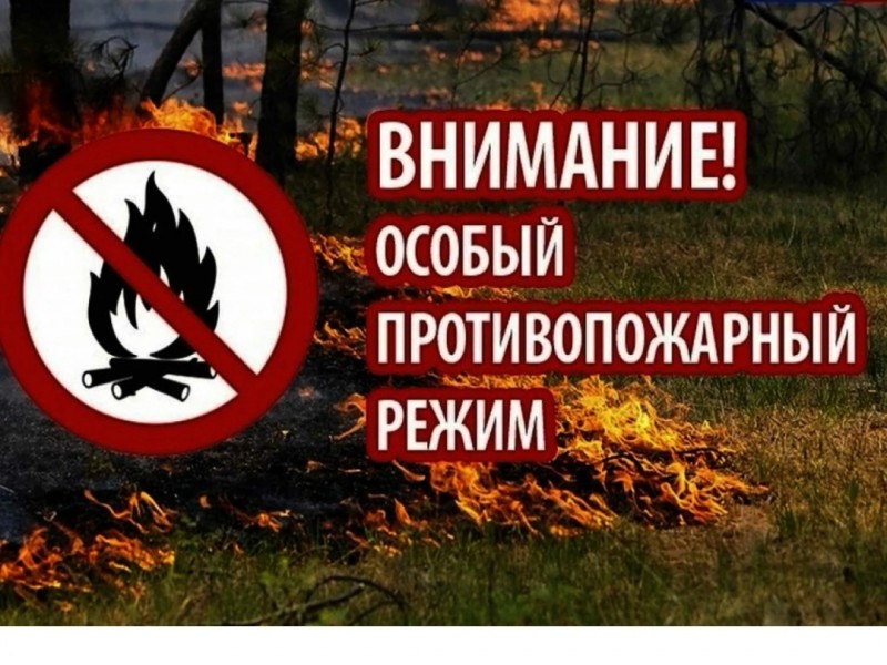 Даглесхоз увеличил количество патрулирований на лесных землях.