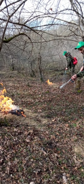 В рамках подготовки к пожароопасному сезону, в Касумкентском лесничестве прошли противопожарные учения.