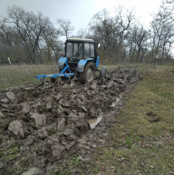 В Каякентском лесничестве подготовили почву под весенние лесопосадки.