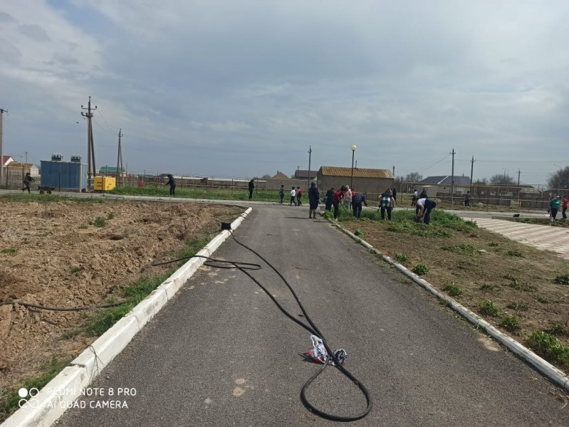В Ногайском лесничестве продолжают посадку саженцев в честь участников войны.