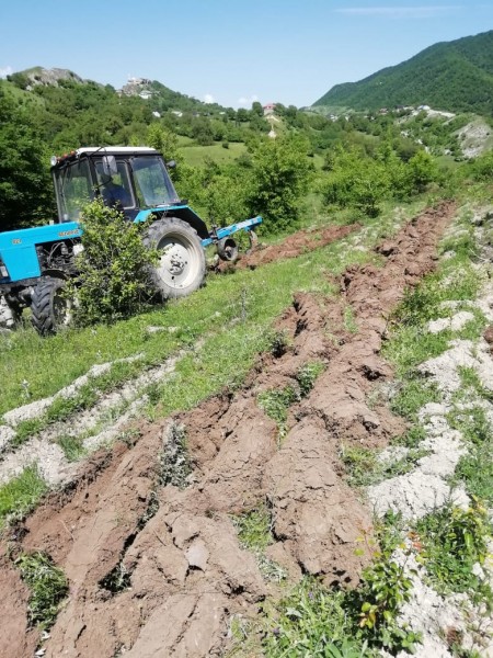 ГБУ РД "Республиканские леса" проводит агротехнический уход за посевами прошлых лет.