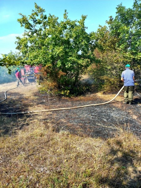 Ежедневное патрулирование лесного фонда позволило очередной раз обнаружить на ранней стадии возгорание на прилегающих к лесному фонду землях.