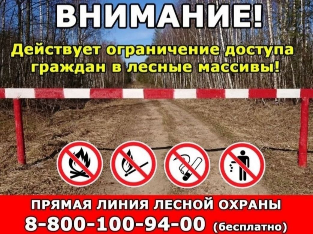 Ограничения посещения лесного массива
