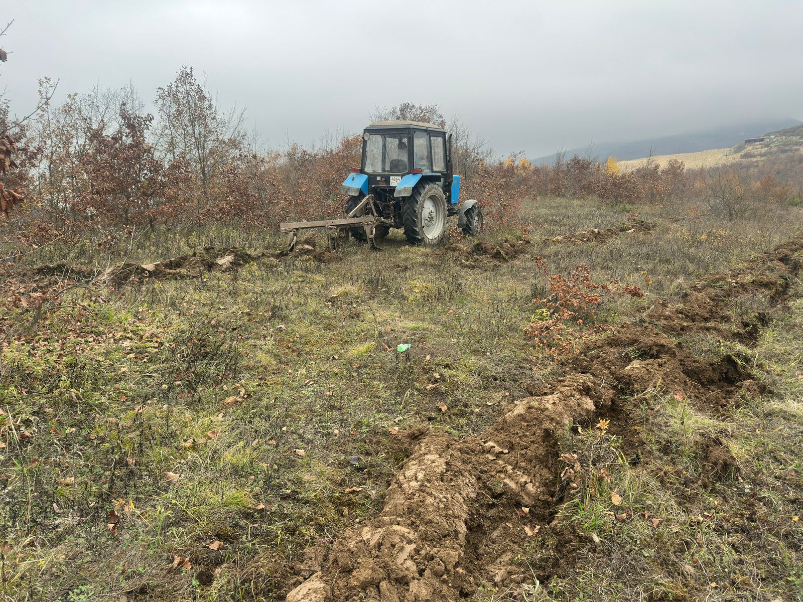 Посев семян Табасаран