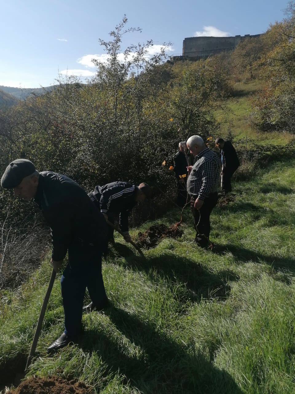 Сохраним лес