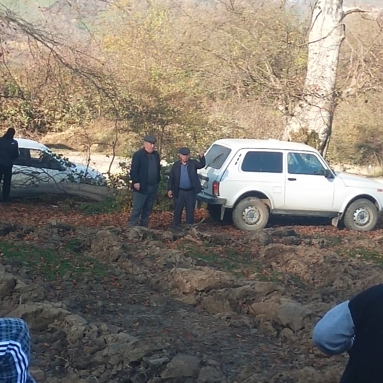 Нацпроект Табасаранское лесничество