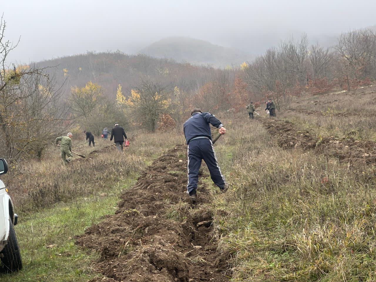 Нацпроект Табасаранское лесничество
