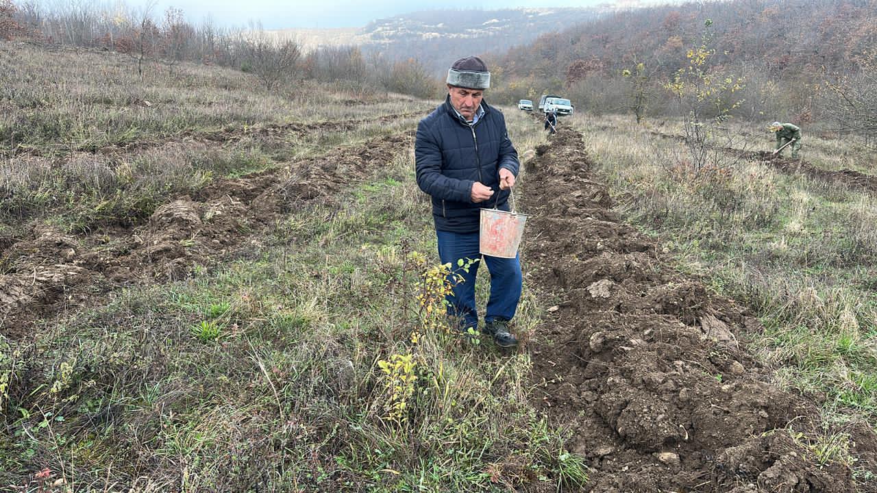 Нацпроект Табасаранское лесничество