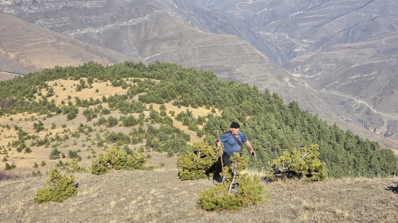Патрулирование Гунибское лесничество