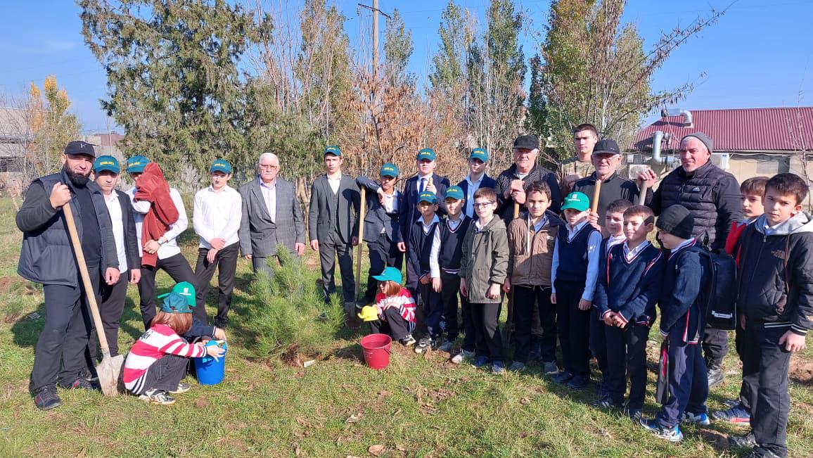 Сохраним лес Махачкала