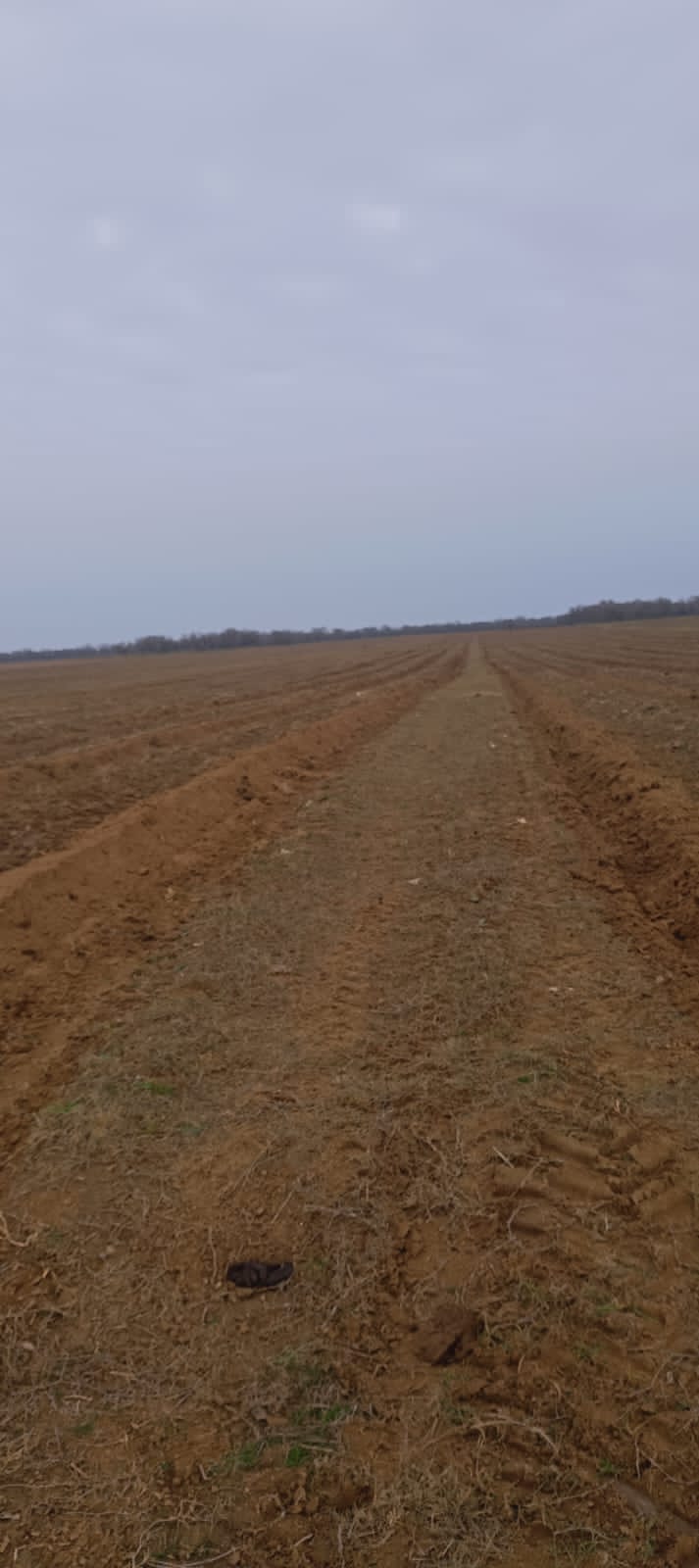 Нацпроект Ногай